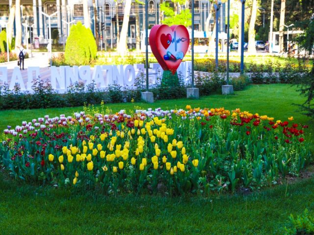Dushanbe City Of Flowers